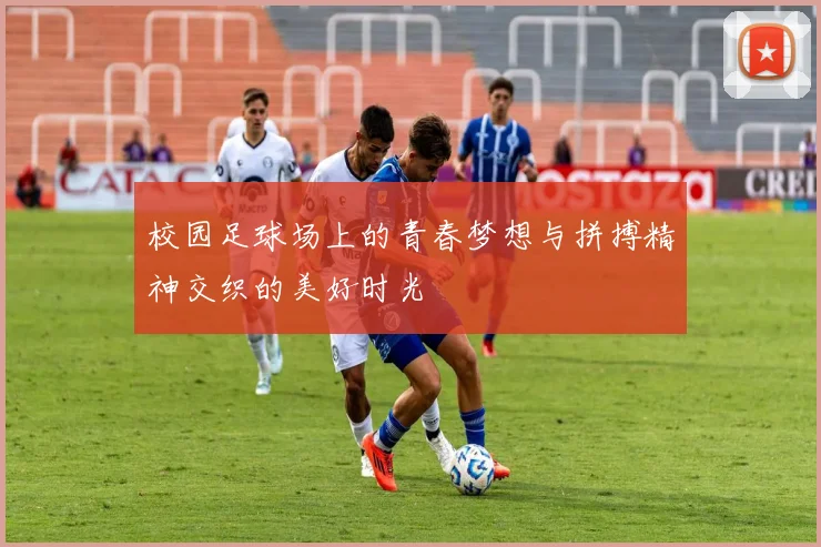 校园足球场上的青春梦想与拼搏精神交织的美好时光