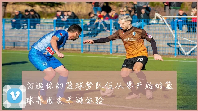 打造你的篮球梦队伍从零开始的篮球养成类手游体验