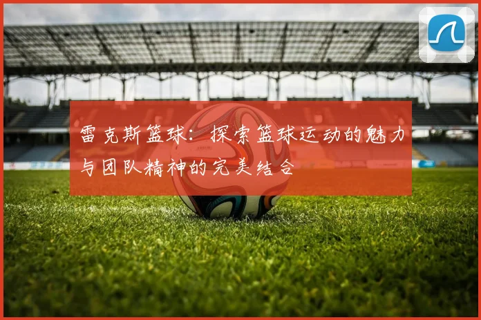 雷克斯篮球：探索篮球运动的魅力与团队精神的完美结合