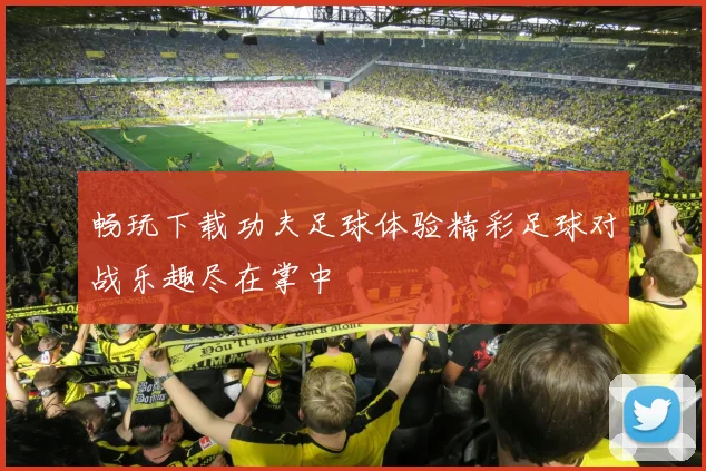 畅玩下载功夫足球体验精彩足球对战乐趣尽在掌中